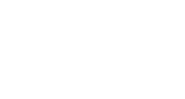 American Elite School
